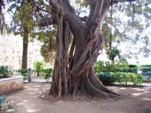 2009 Sicilia Siracusa 109